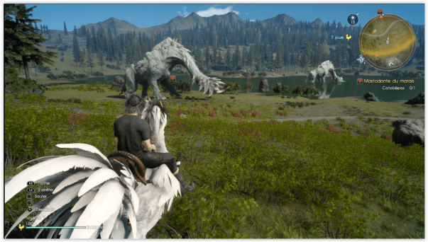 screen-shot-01-09-17-at-04-35-pm-001