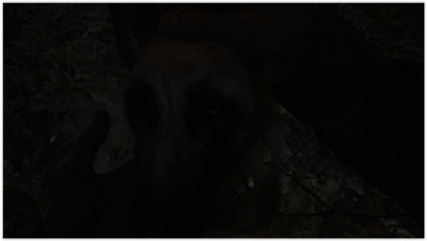 Screen Shot 09-17-19 at 12.11 AM 002